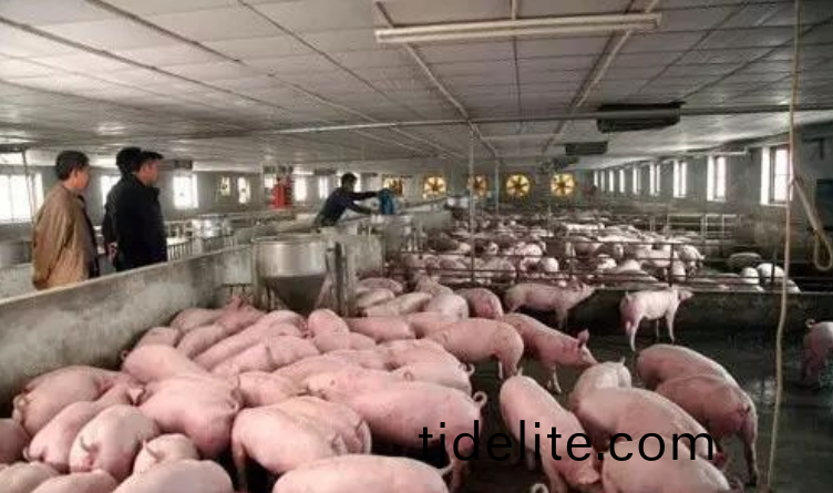 {~OVZDGT)TV[`ROK~RH[6KI