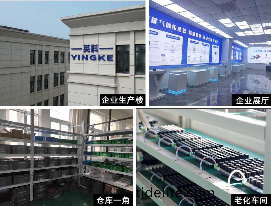 公(gong)司槩(gai)述