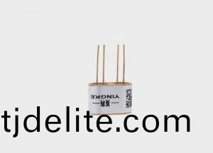 催(cui)化(hua)燃(ran)燒(shao)傳(chuan)感器(qi)