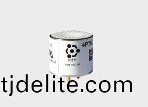 CITY催化(hua)燃(ran)燒傳感器 4P75C甲烷(wan)